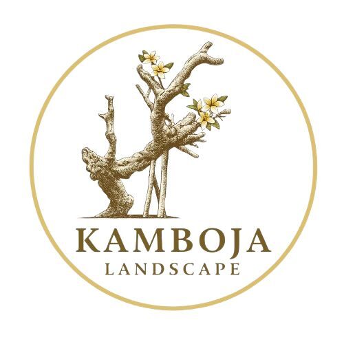 cropped whatsapp image 2025 11 23 at 00.56.27.jpeg